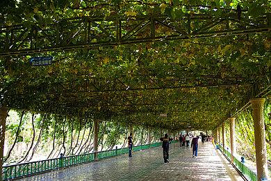 TGA“玩家之声”前五强出炉 第三轮投票正式开启